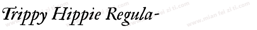 Trippy Hippie Regula字体转换